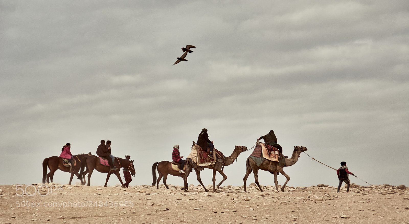 Nikon D5200 sample photo. Desert photography