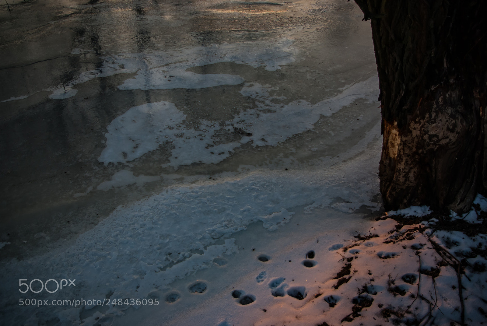 Pentax K10D sample photo. Golden hour photography