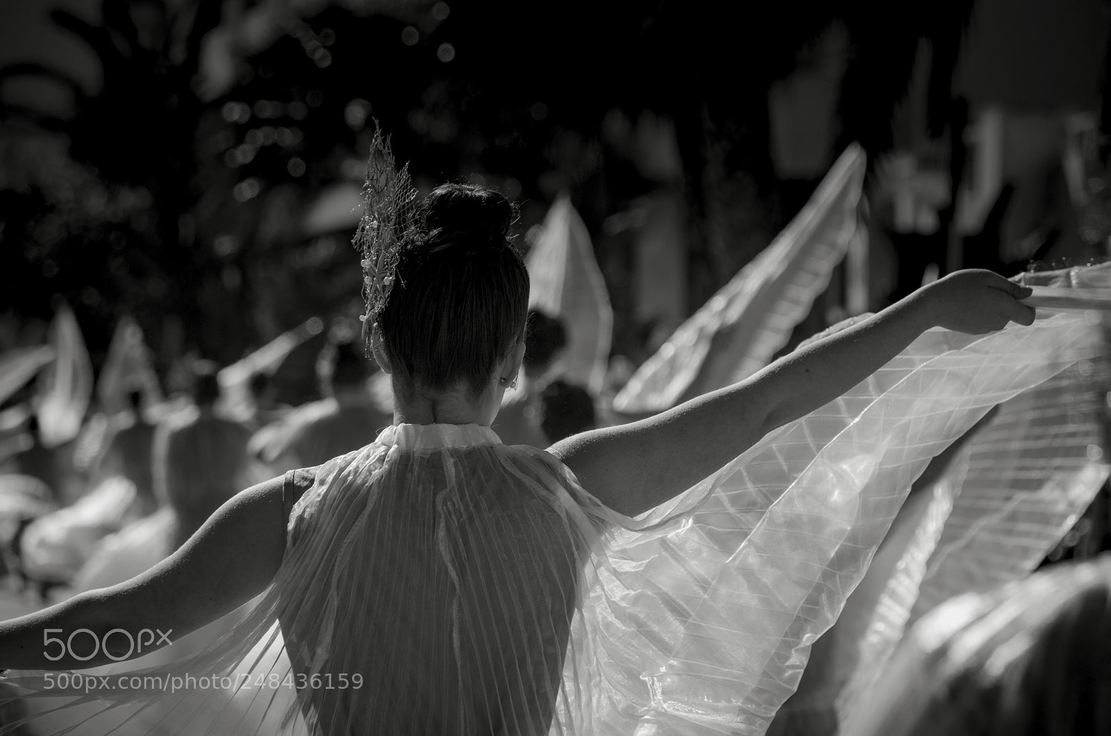 Canon EOS 6D Mark II sample photo. Entre tules photography