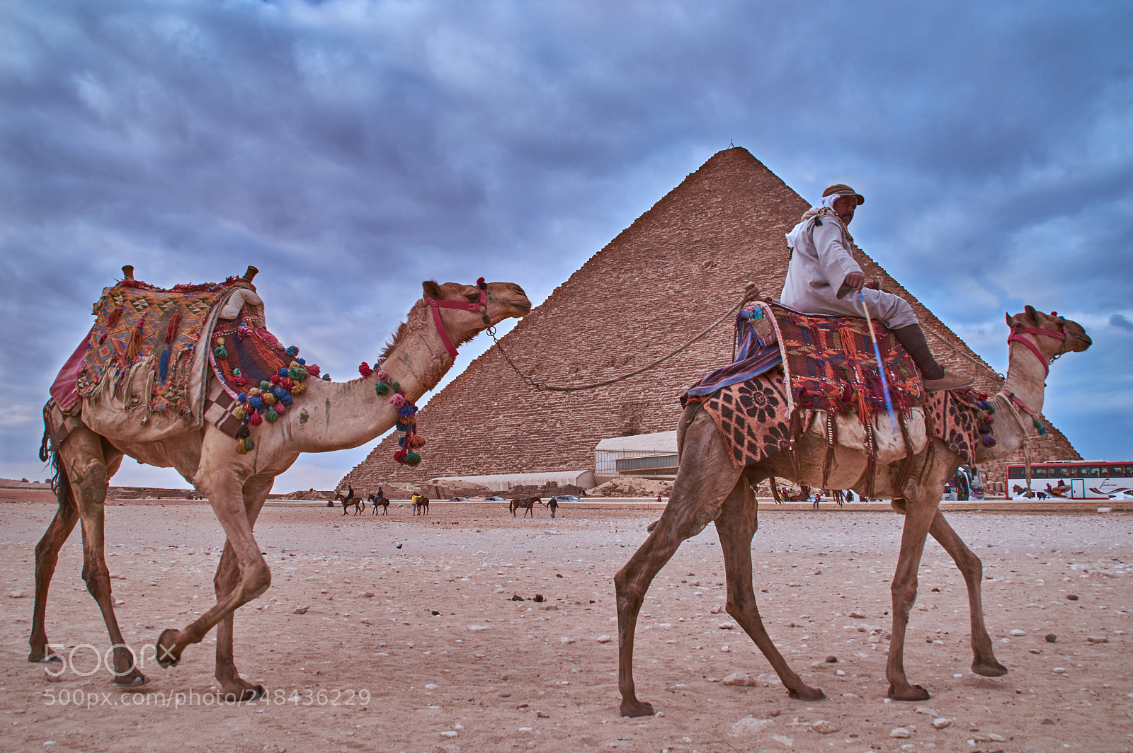 Nikon D5200 sample photo. Bedouin photography