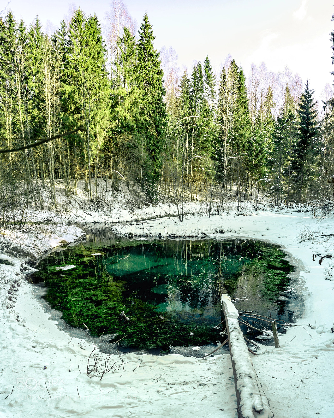 Sony a6000 sample photo. Saula bluesprings photography