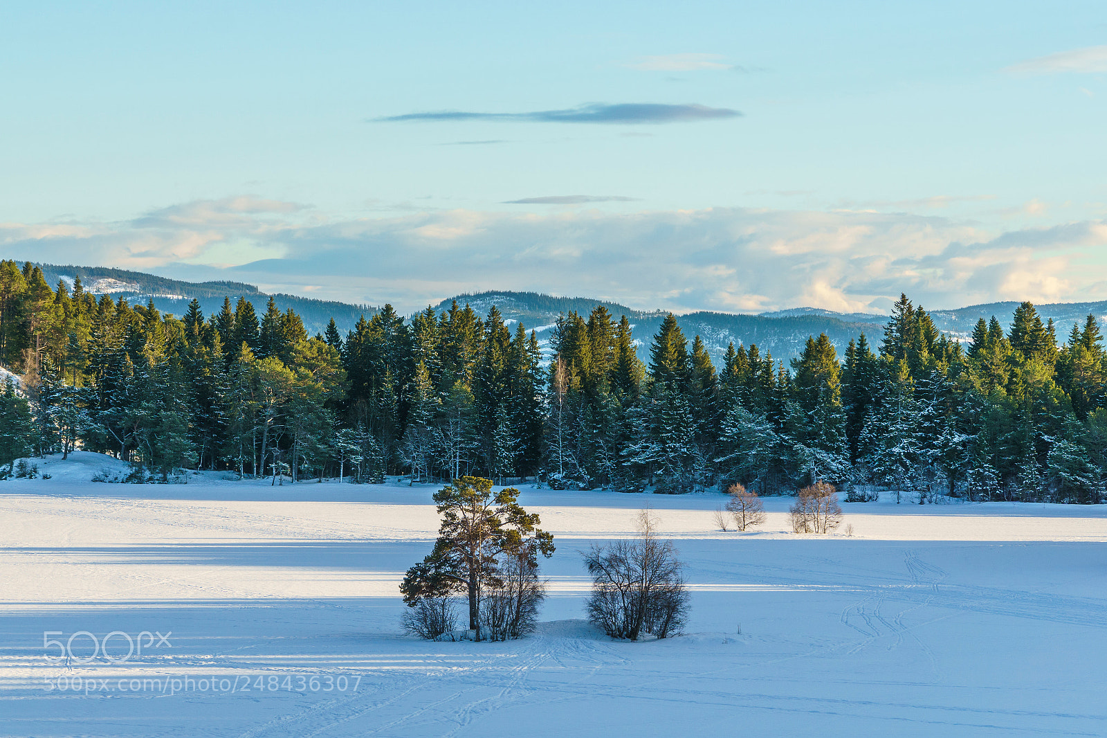Sony a6000 sample photo. Lianvannet, winter photography
