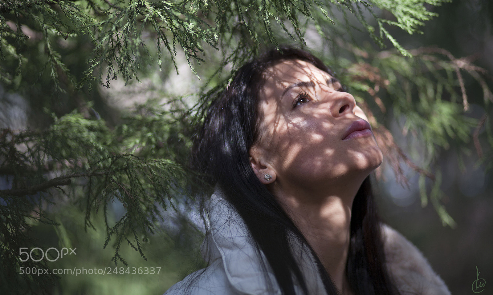 Canon EOS 5D sample photo. M photography