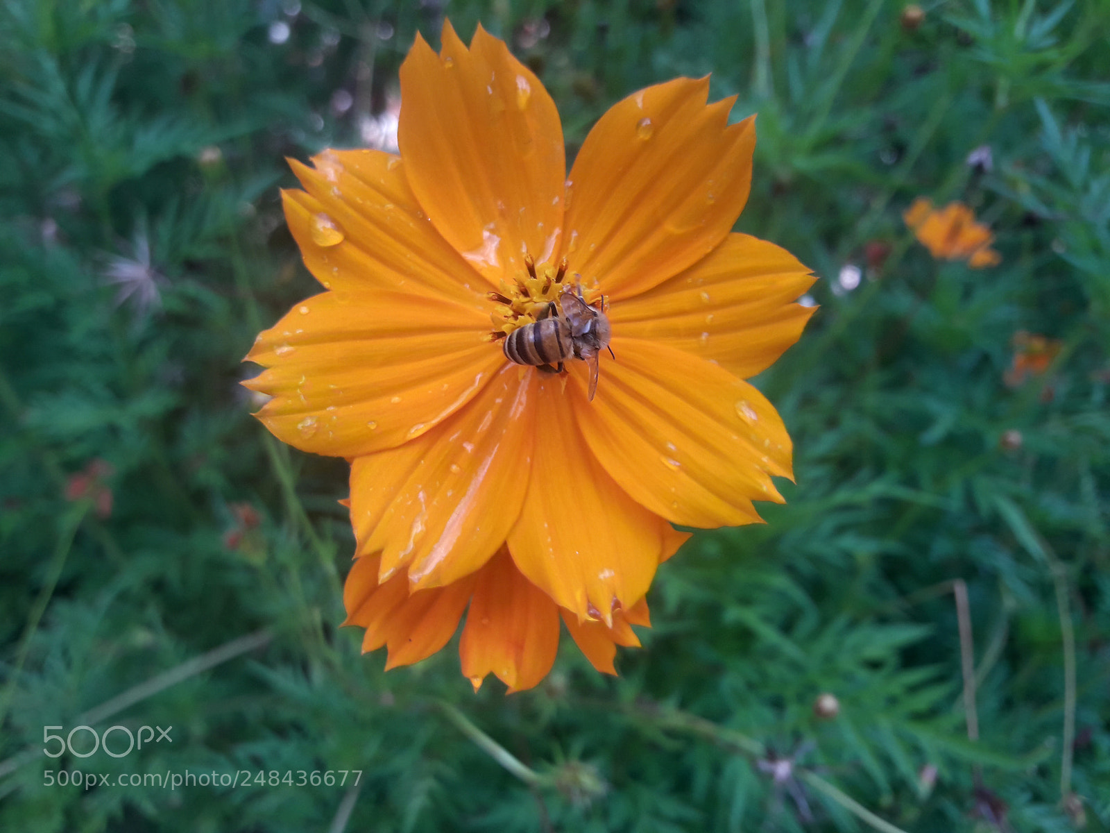 Samsung Galaxy J7 Neo sample photo. Untitled photography