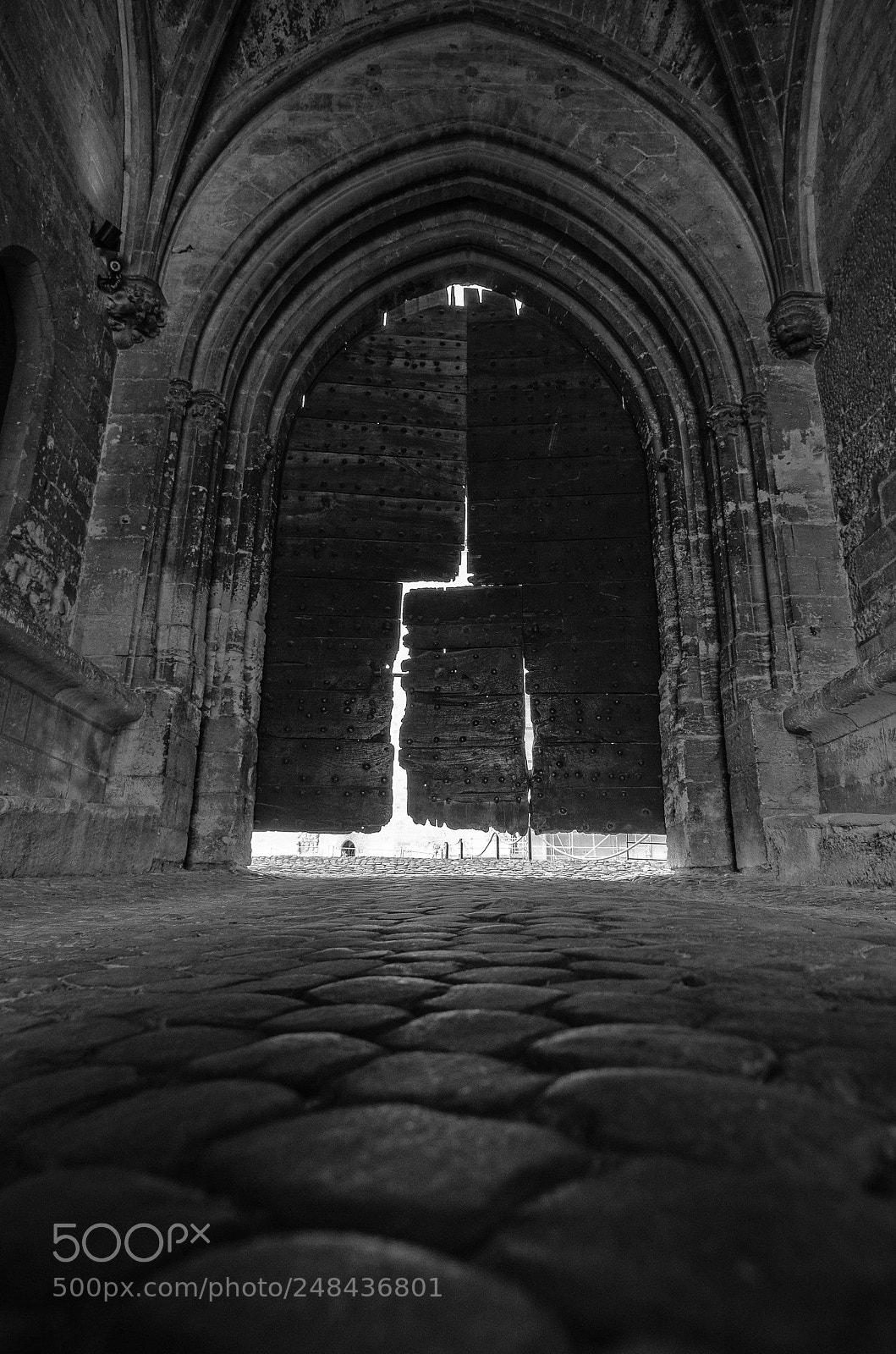 Nikon D5100 sample photo. The popes palace door photography