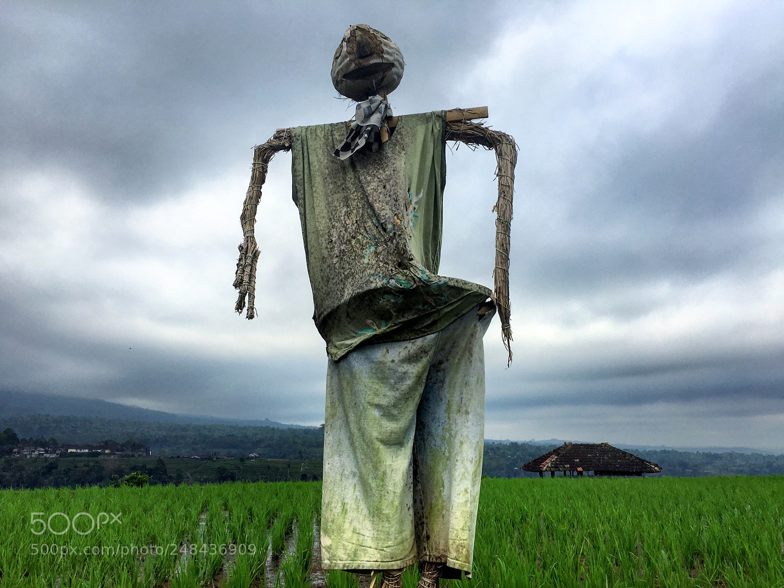 Apple iPhone 6s sample photo. Bali épouvantails photography