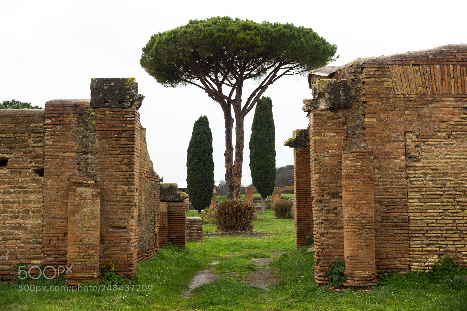 Sony SLT-A65 (SLT-A65V) sample photo. Ostia antica photography