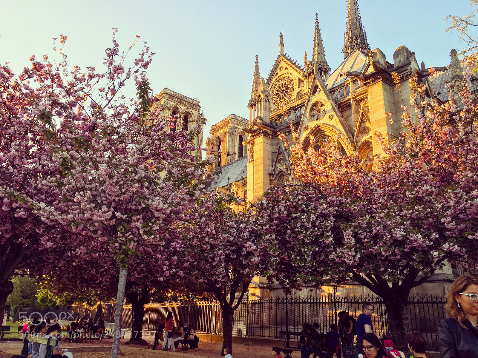 Apple iPhone 6s sample photo. Notre dame spring photography