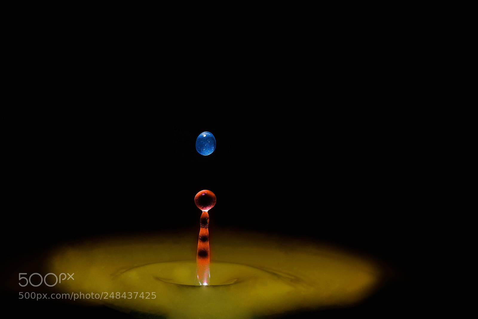 Nikon D7100 sample photo. Untitled photography