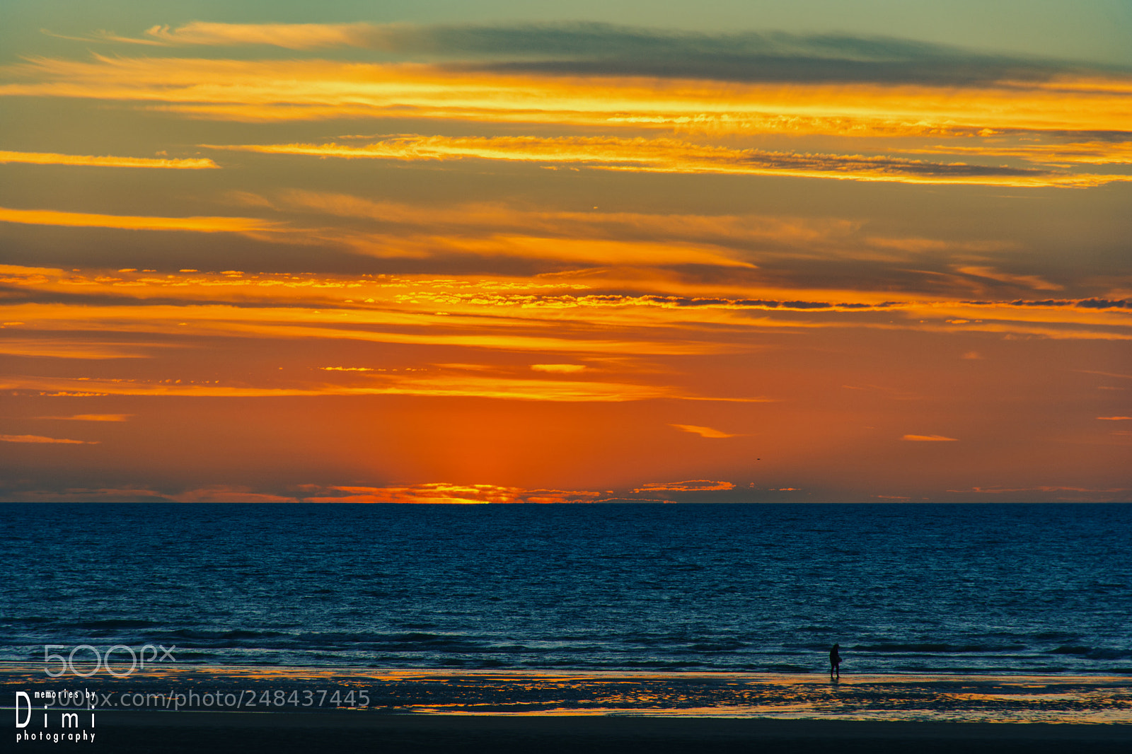 Nikon D7200 sample photo. Walk at the beach photography