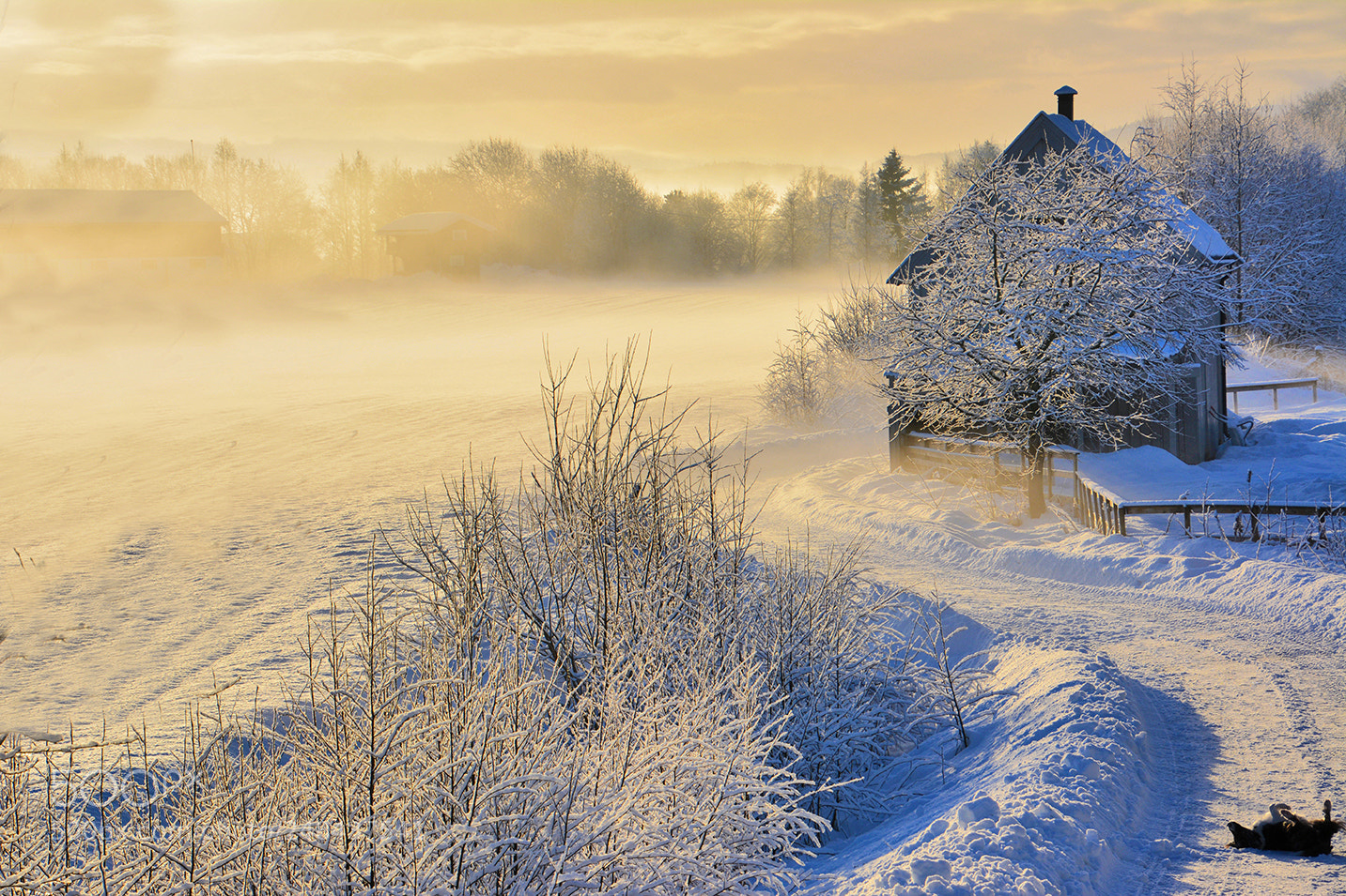 Nikon D5200 sample photo. Glorious winter afternoon photography