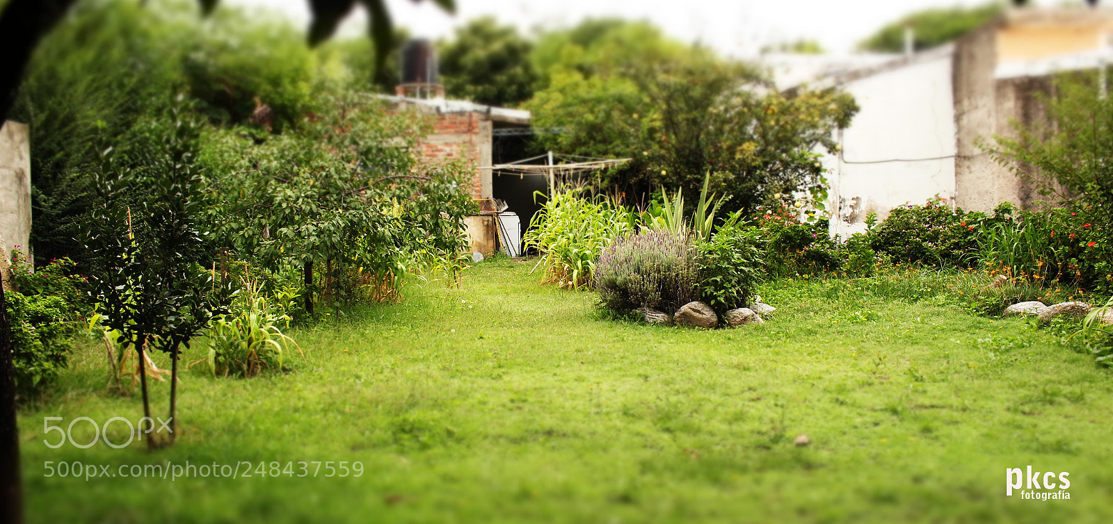 Canon EOS 700D (EOS Rebel T5i / EOS Kiss X7i) sample photo. Maqueta photography