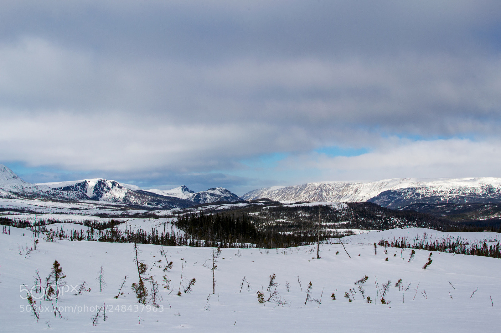 Nikon D3100 sample photo. Newfoundland backcoutry photography