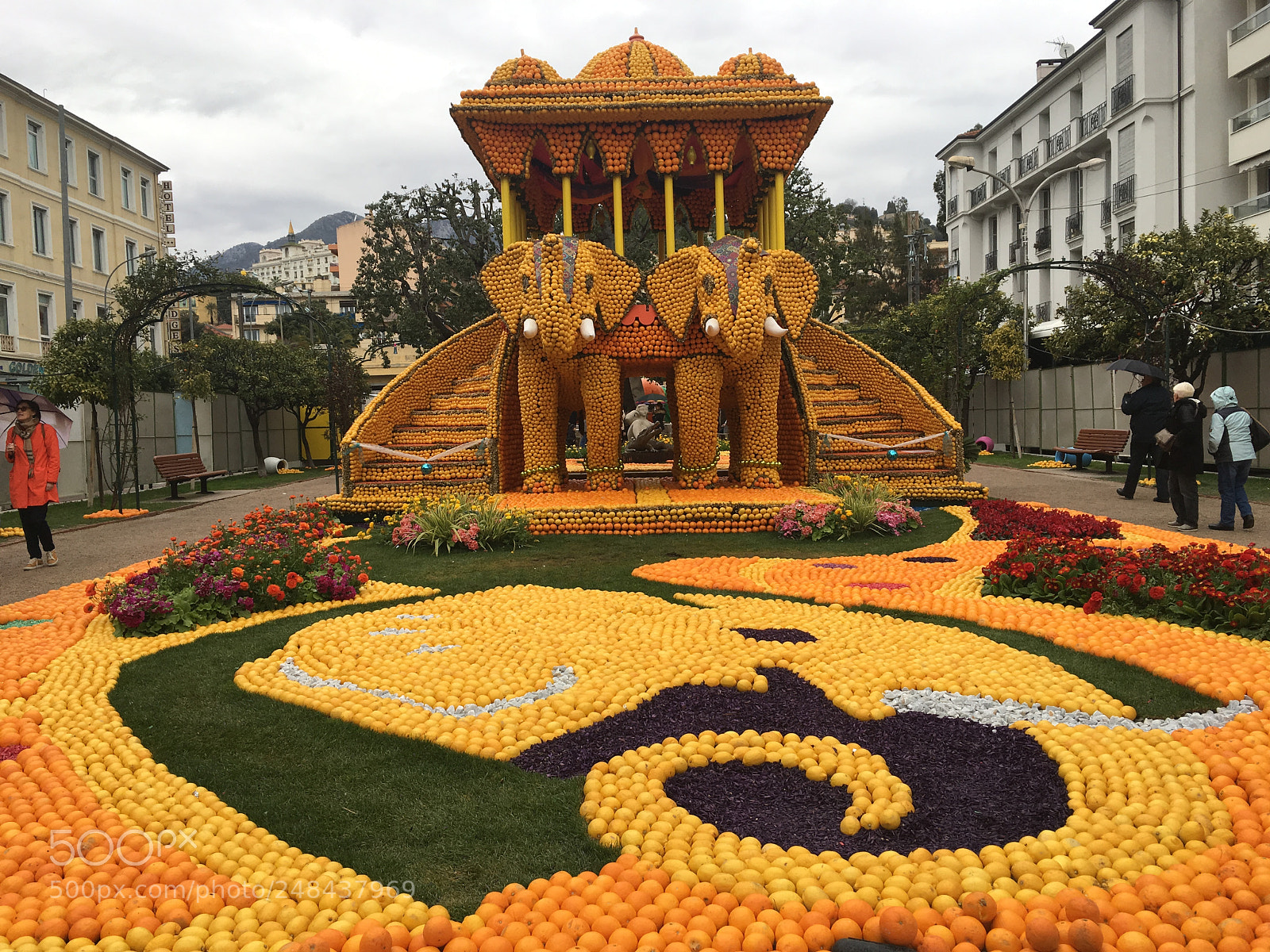 Apple iPhone 6s sample photo. Festa citron photography