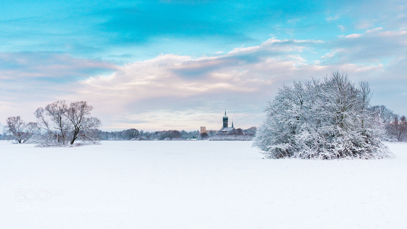 Sony a7 sample photo. Elbwiesen lutherstadt wittenberg photography