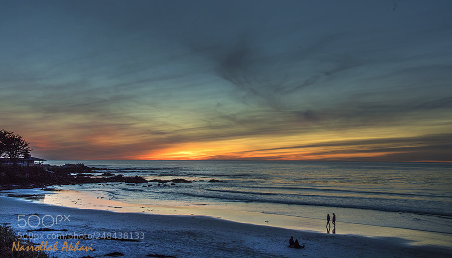 Nikon D5 sample photo. Sunset walk photography