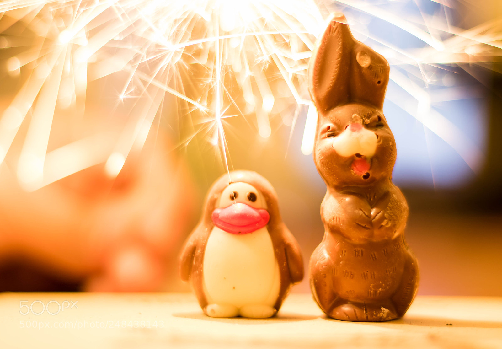 Canon EOS 760D (EOS Rebel T6s / EOS 8000D) sample photo. Can you eat them? photography