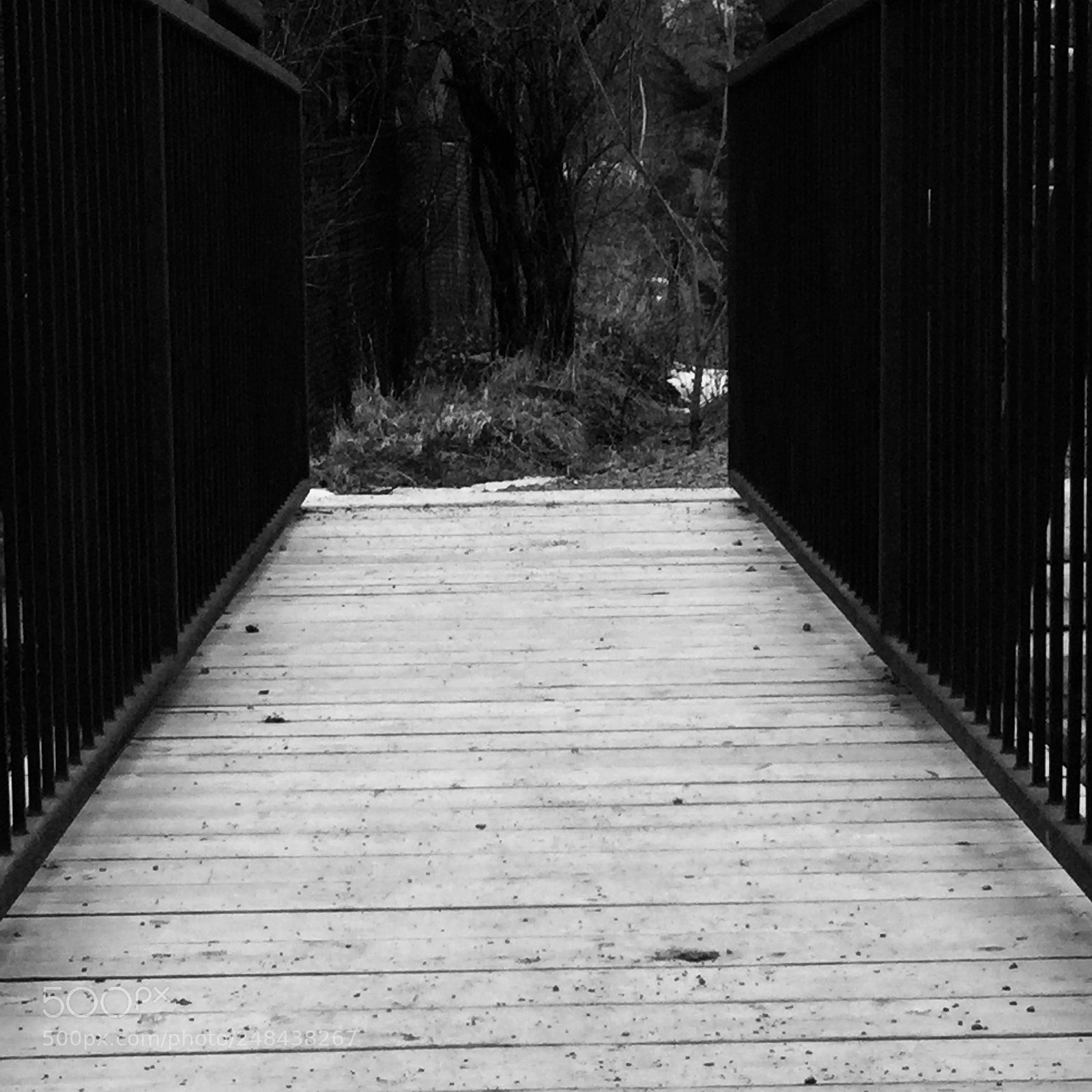 Apple iPod touch sample photo. Tunnel vision photography
