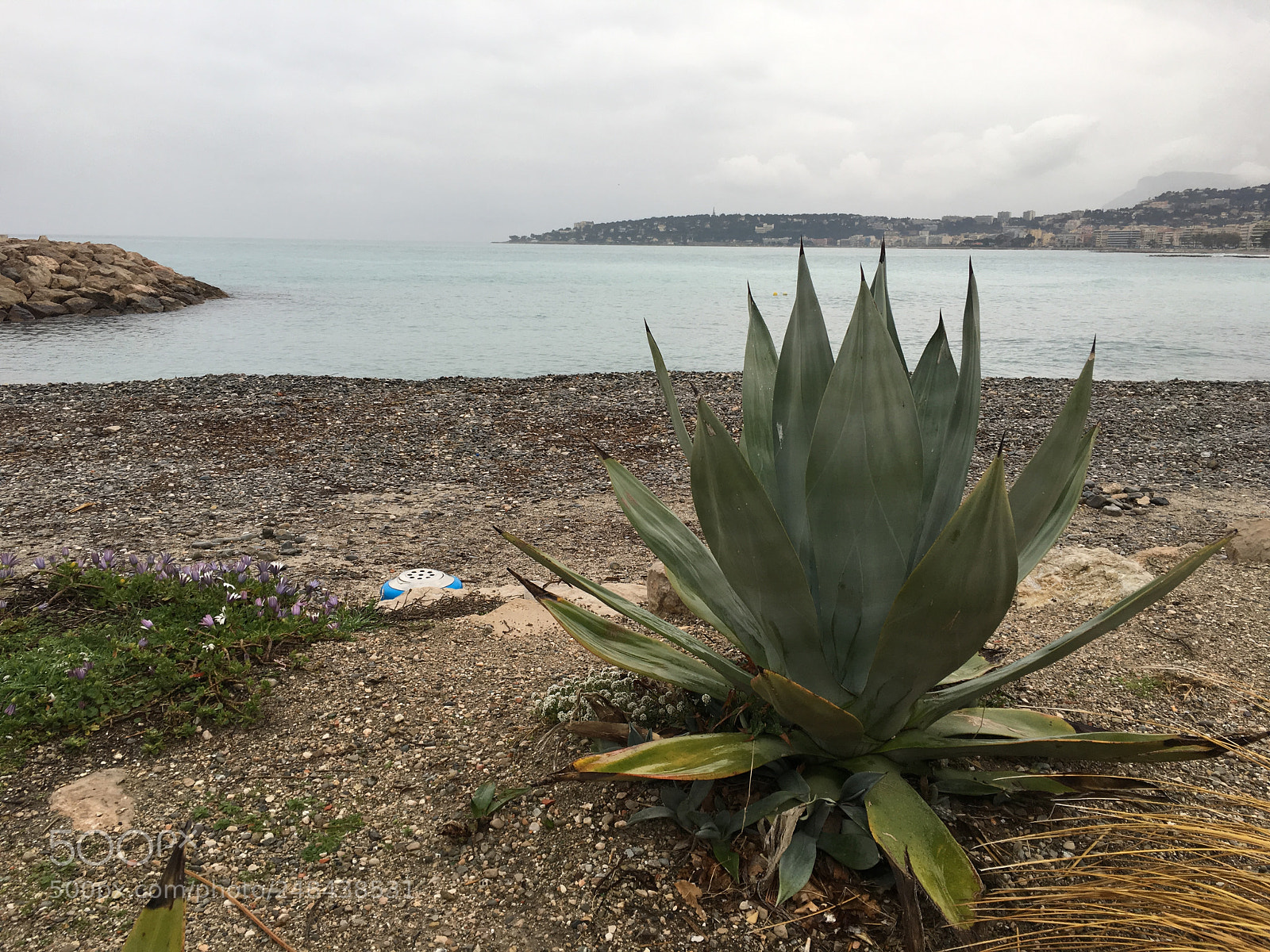 Apple iPhone 6s sample photo. Mentone photography