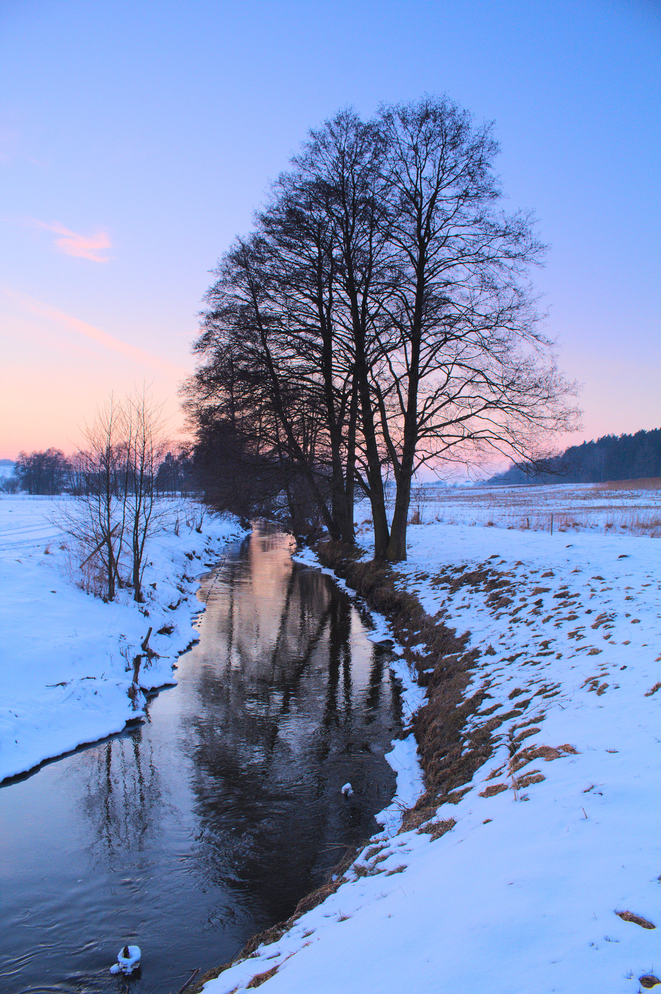 Canon EOS 1200D (EOS Rebel T5 / EOS Kiss X70 / EOS Hi) sample photo. River tree photography