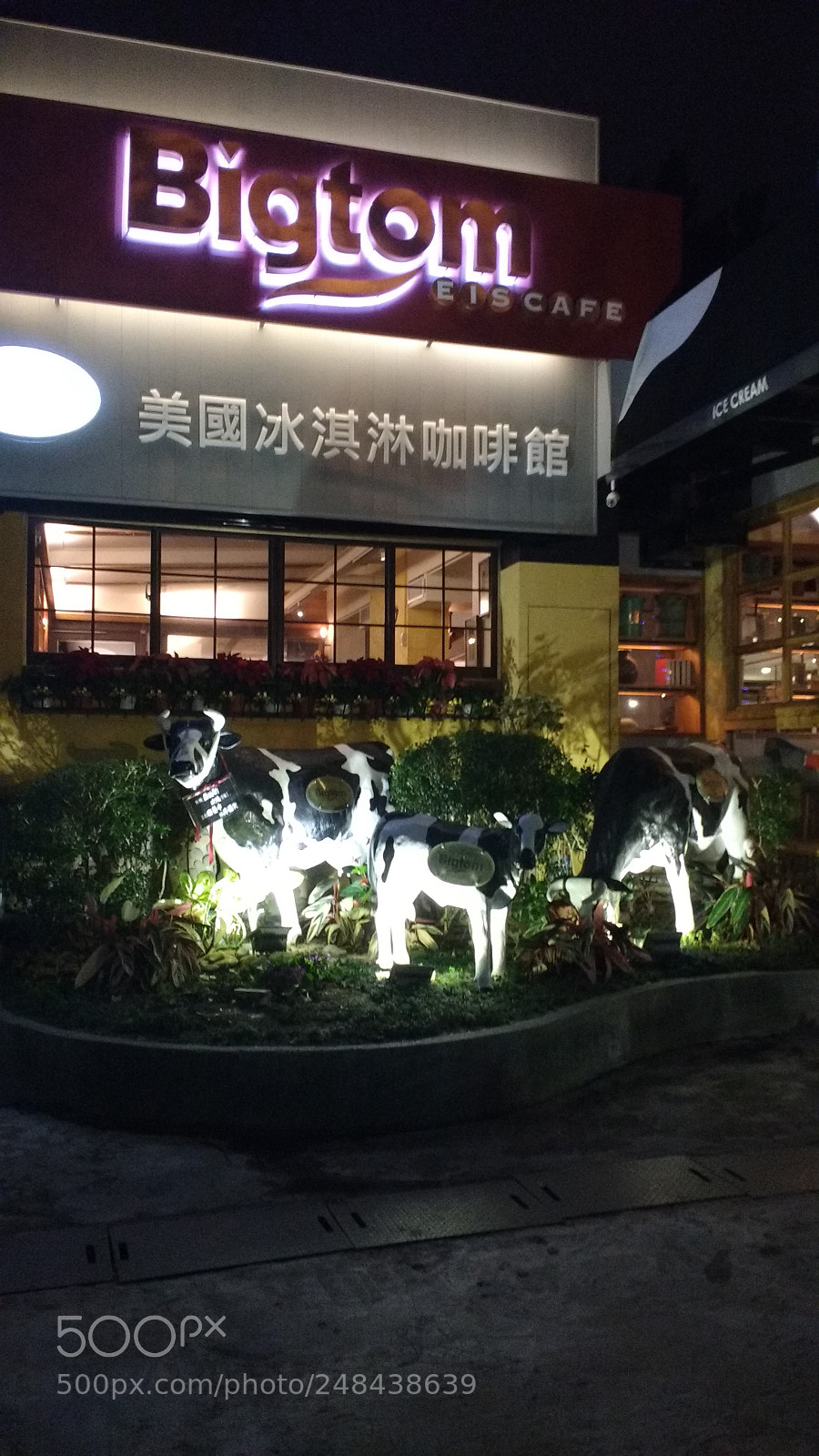 Motorola MotoG3 sample photo. Img_20160124_184619921.jpg photography