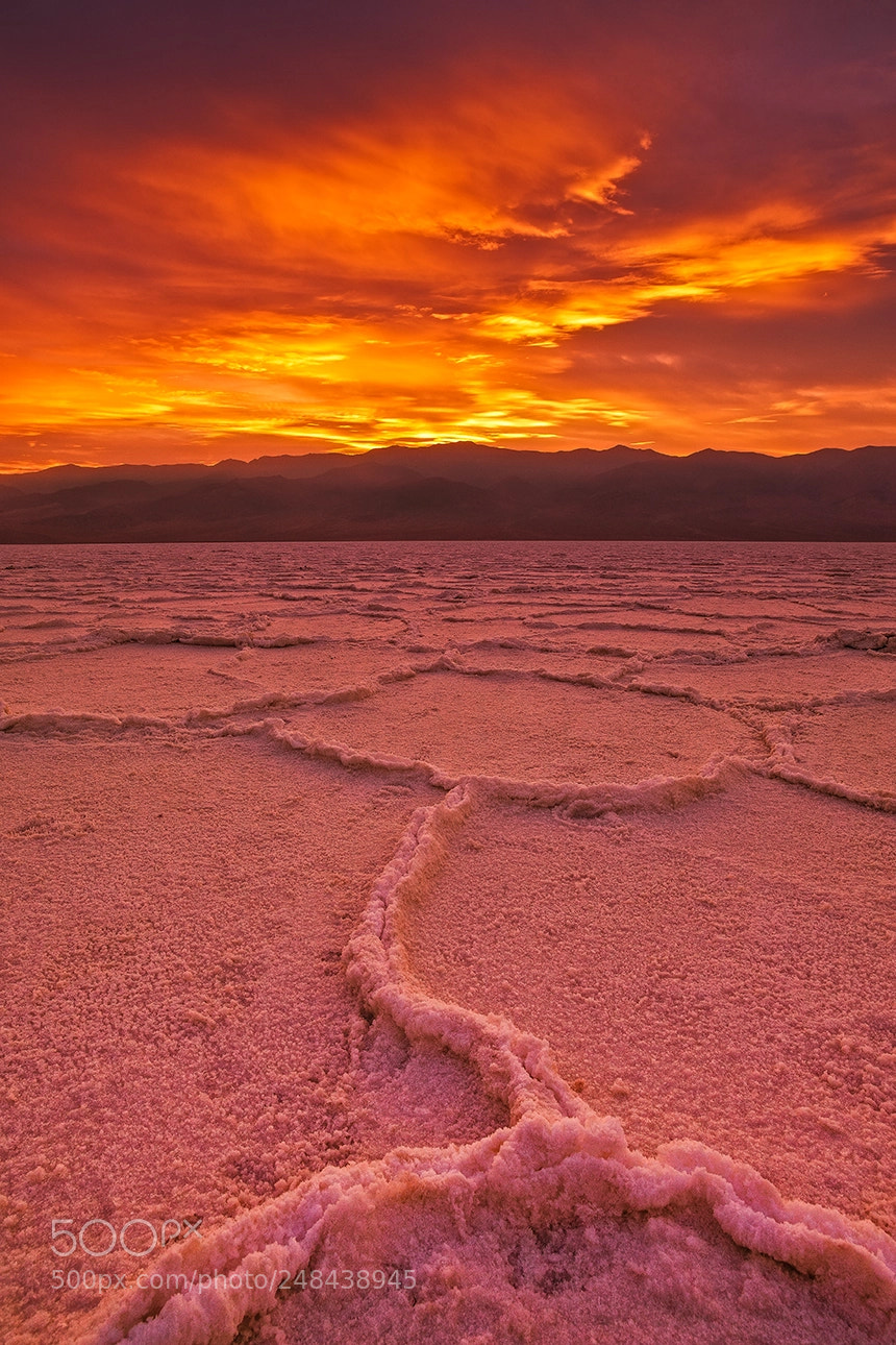 Canon EOS-1Ds Mark III sample photo. Salty view photography