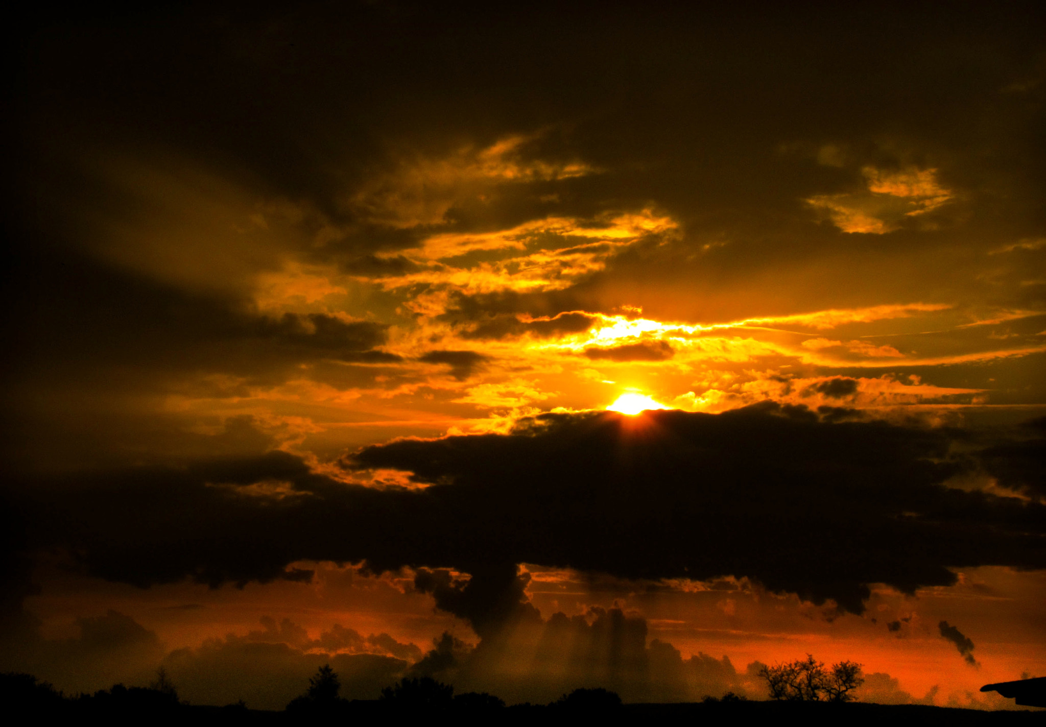 Canon PowerShot SX120 IS sample photo. Golden sunset photography