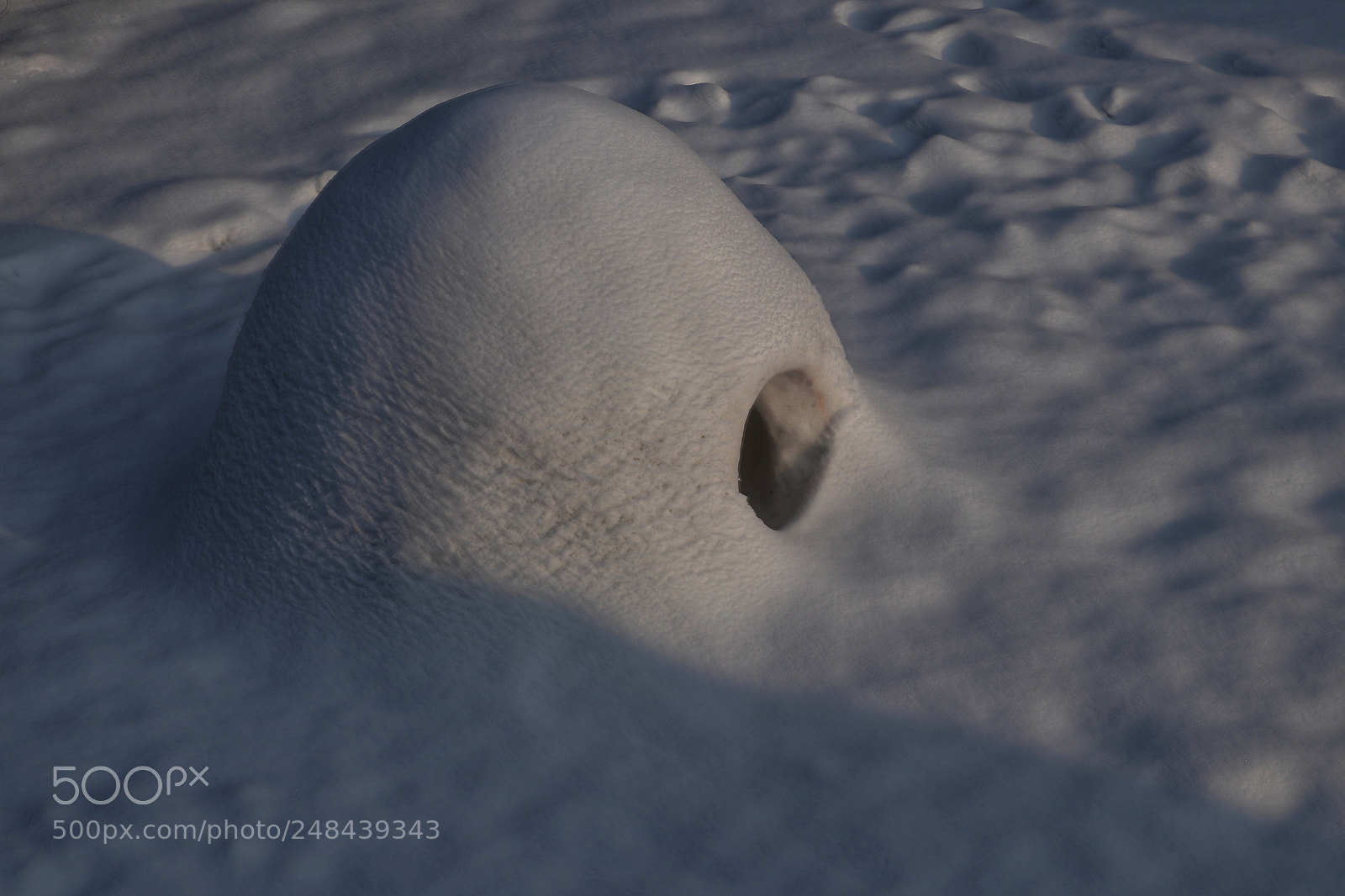 Canon EOS 80D sample photo. Igloo photography