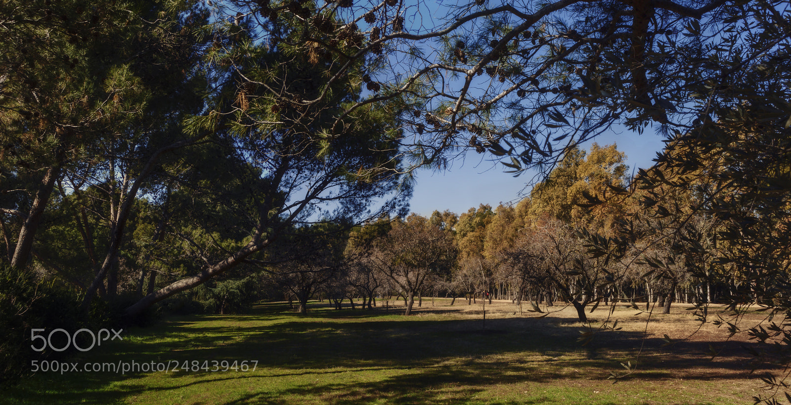 Canon EOS 700D (EOS Rebel T5i / EOS Kiss X7i) sample photo. Quinta de los molinos 3 photography
