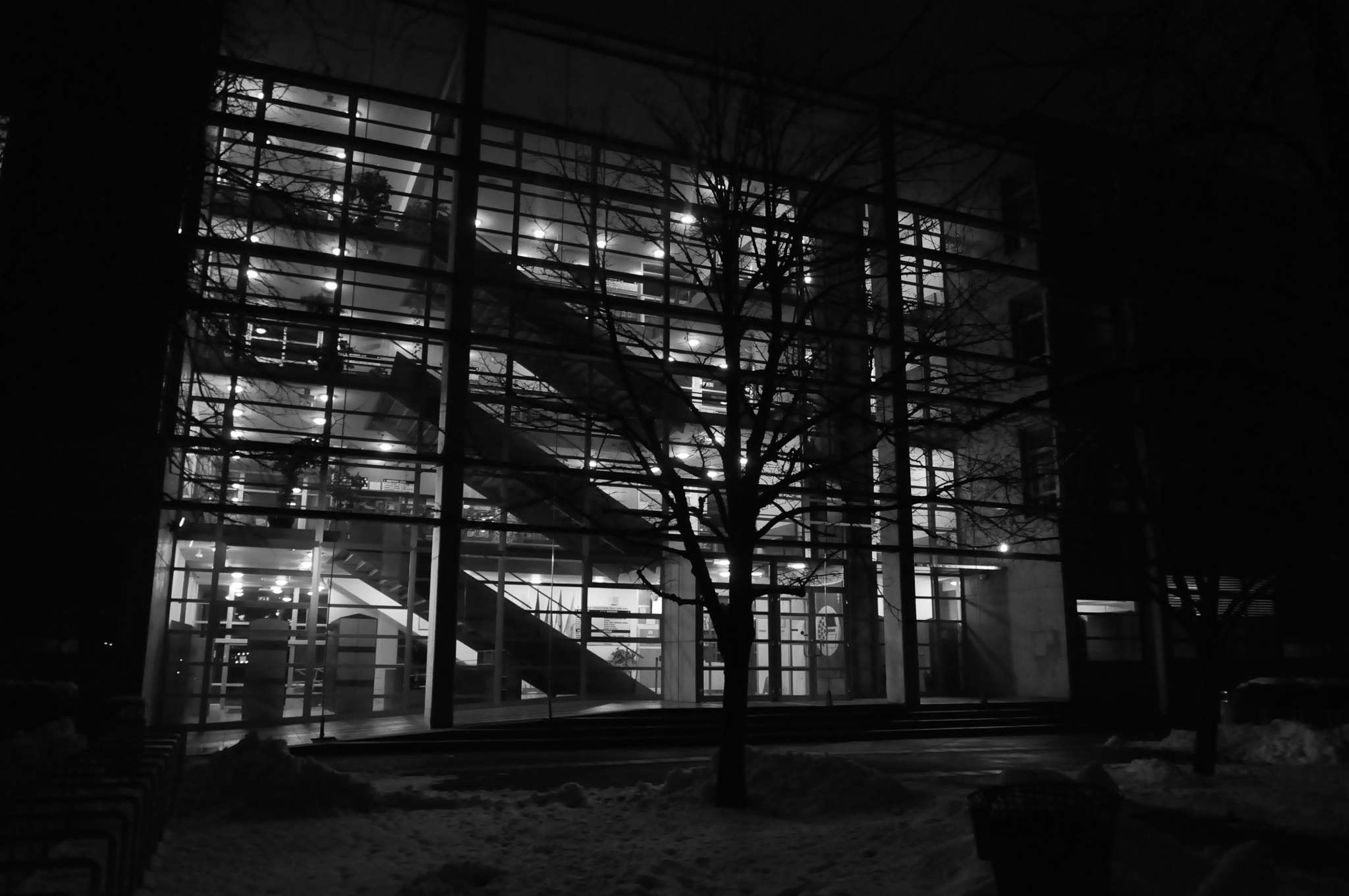 Nikon D5000 sample photo. Steps photography