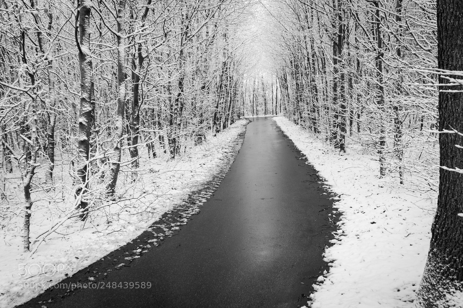 Sony a6000 sample photo. Winter path photography