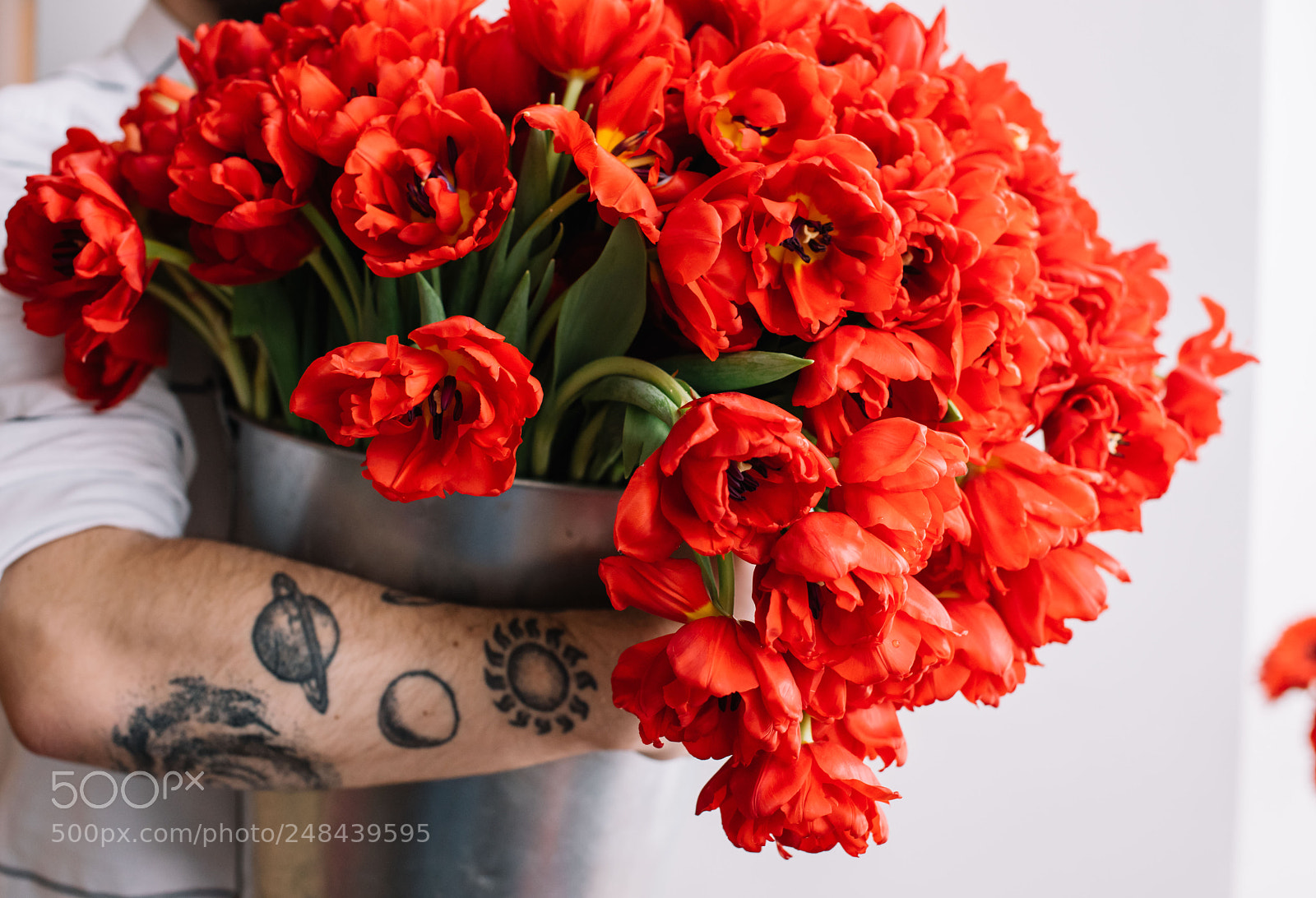 Nikon D810 sample photo. Tulips photography