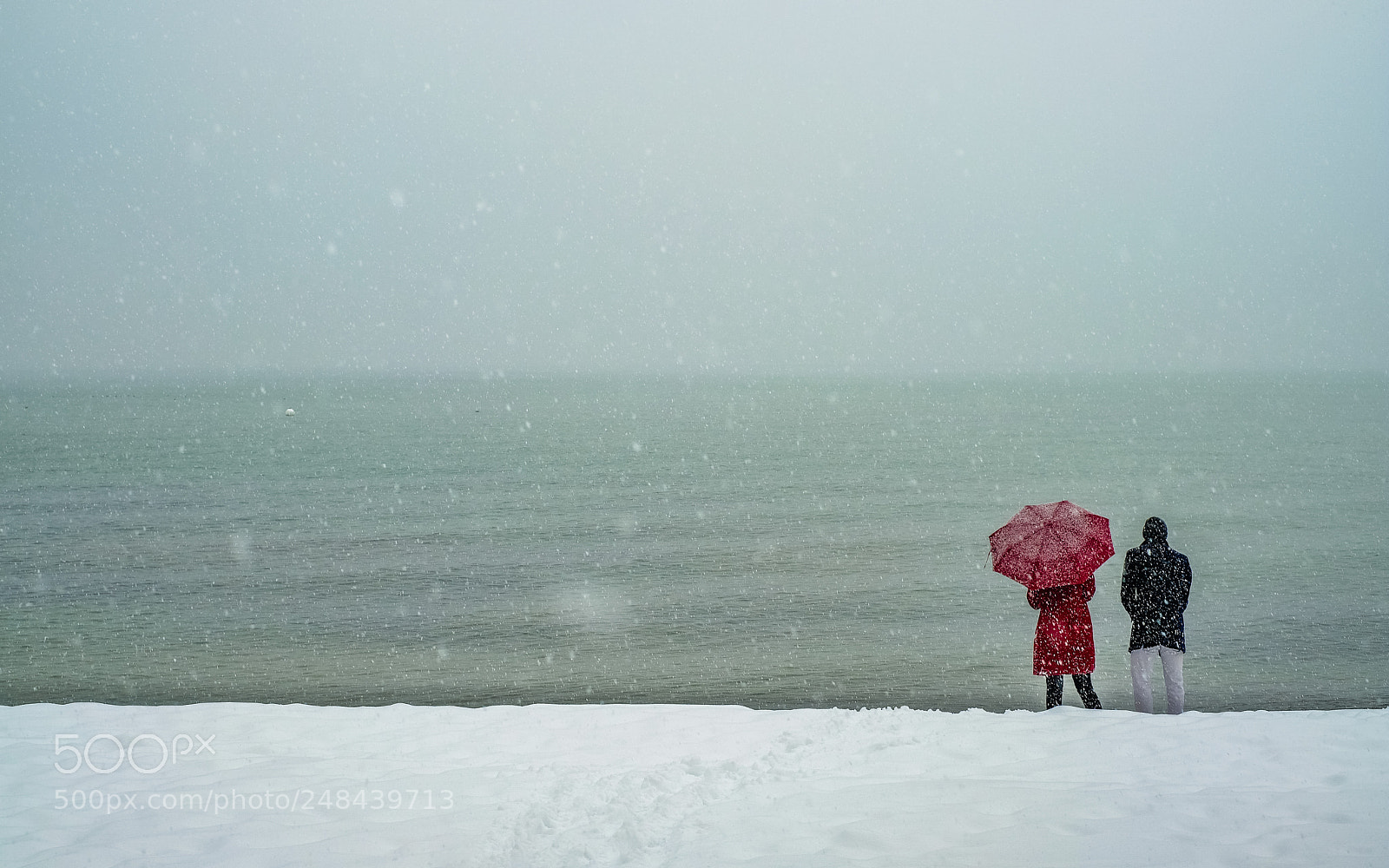 Fujifilm X-T20 sample photo. Snowy day photography