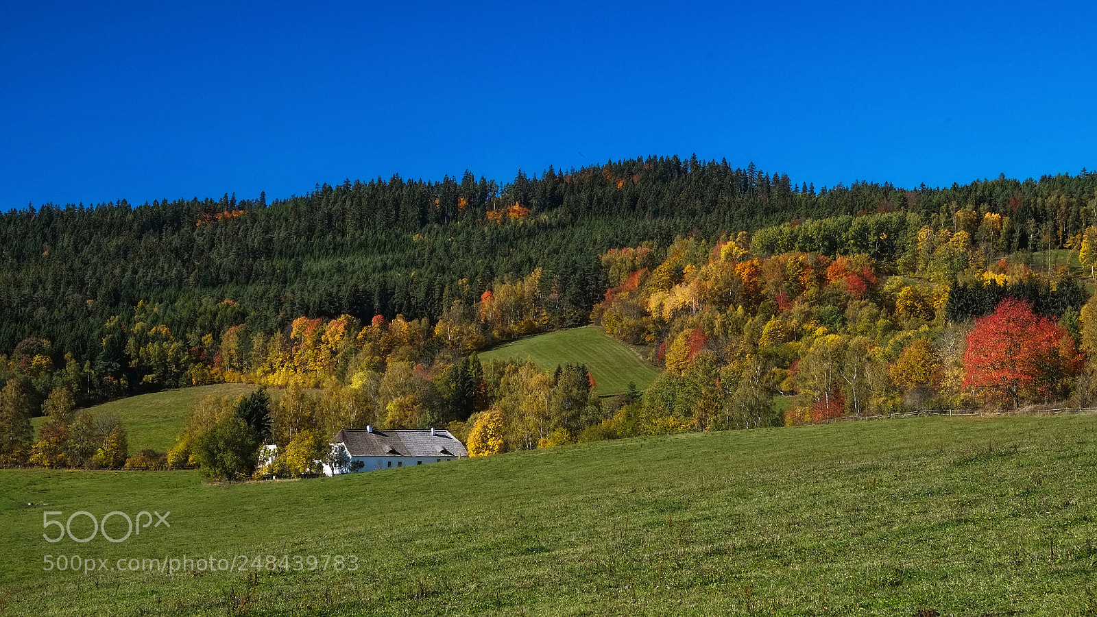 Fujifilm X-E1 sample photo. Under the hill photography