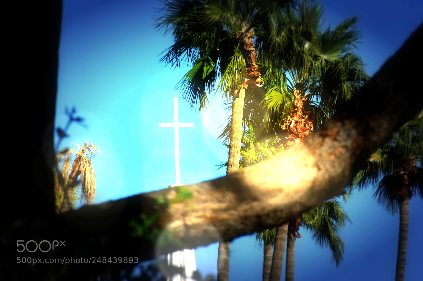 Nikon D3400 sample photo. The cross photography