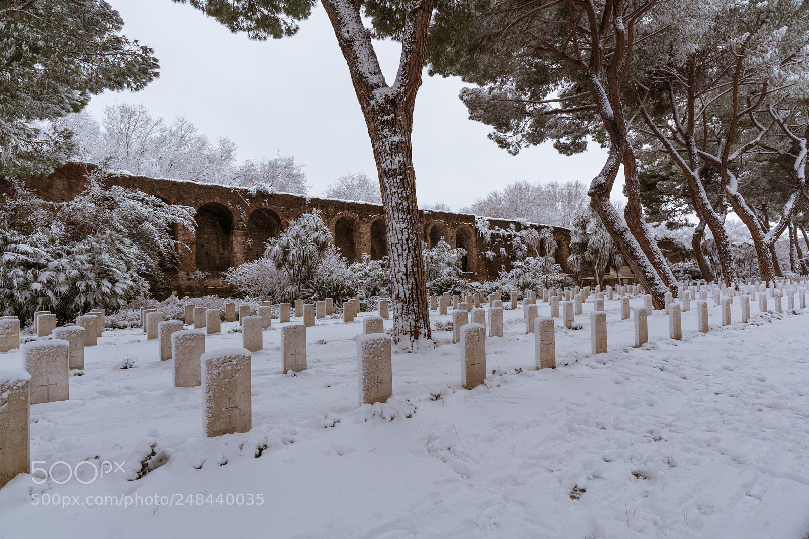 Sony a7R II sample photo. Snowy rome war cemetery photography
