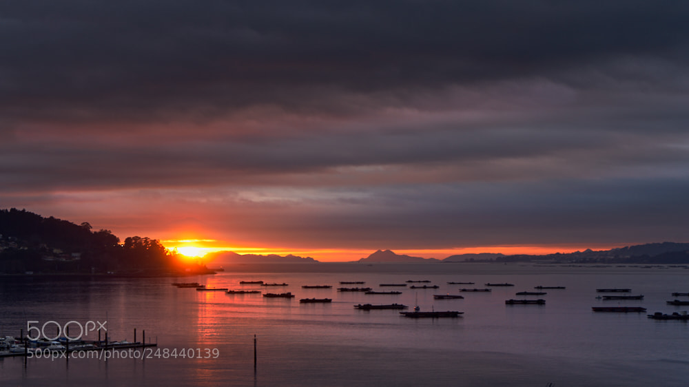 Sony a7 II sample photo. Puesta de sol con photography
