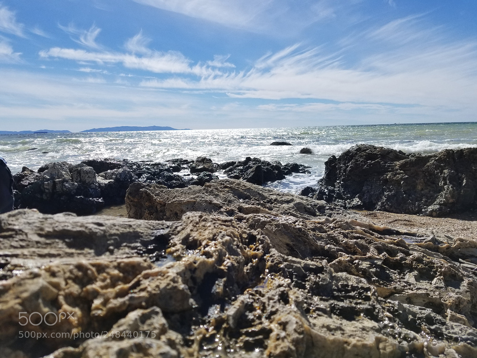 Samsung Galaxy S8+ sample photo. Untitled photography