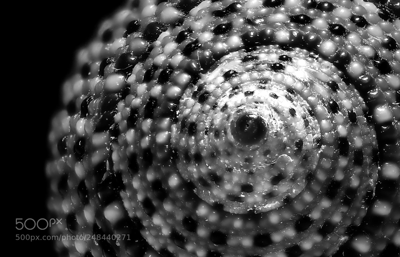 Canon EOS 80D sample photo. Running in circles photography