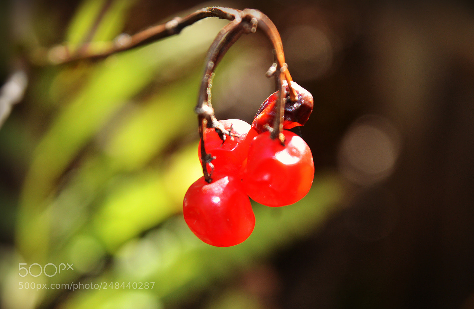 Nikon D3200 sample photo. Forbidden photography
