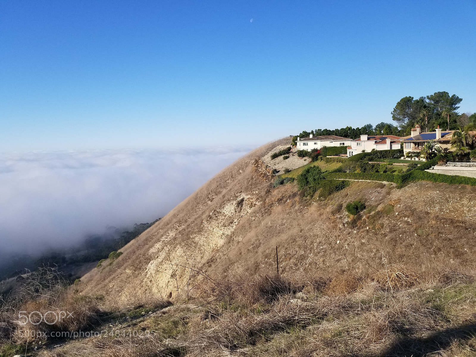 Samsung Galaxy S8+ sample photo. Untitled photography