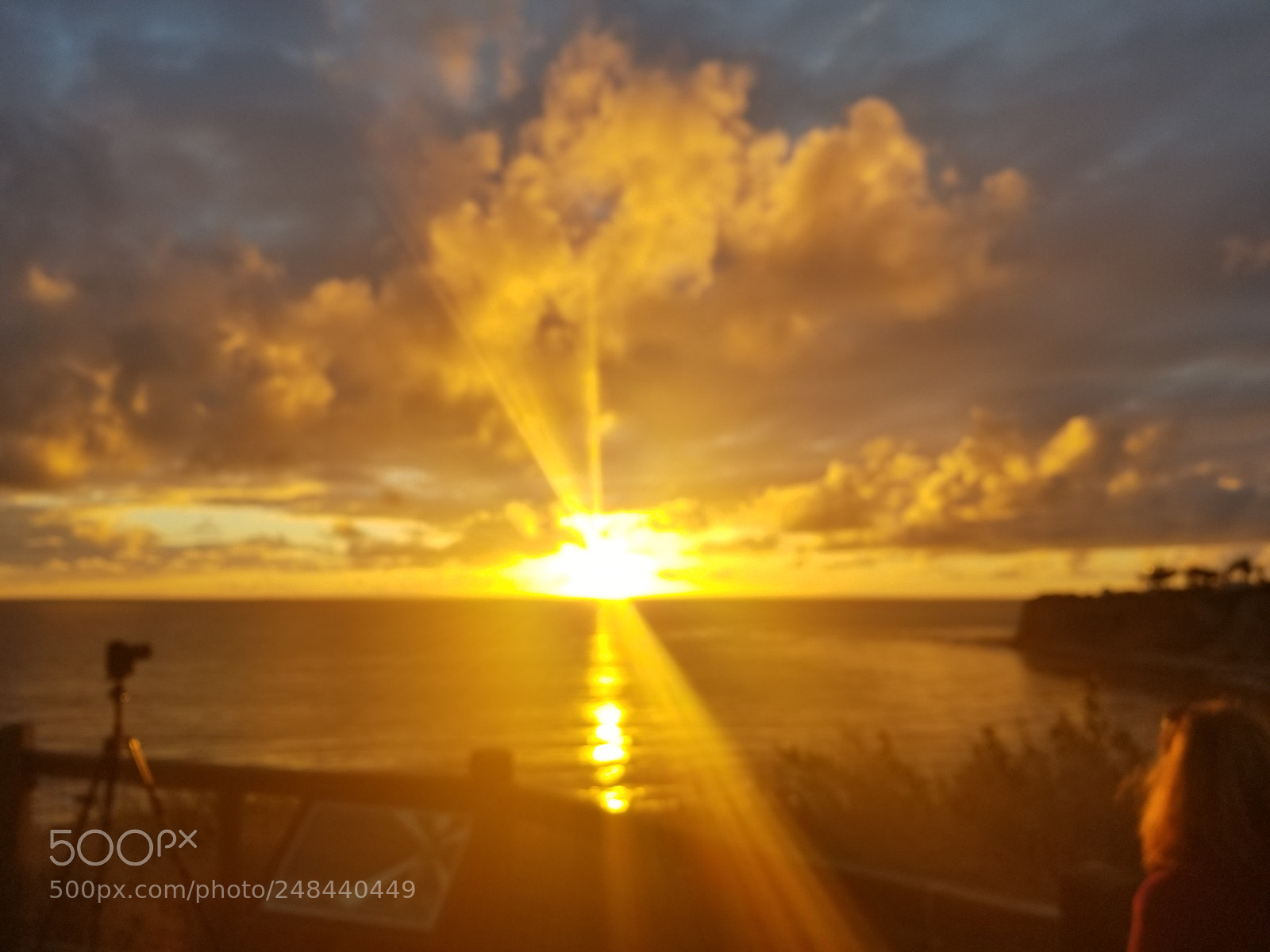 Samsung Galaxy S8+ sample photo. Untitled photography