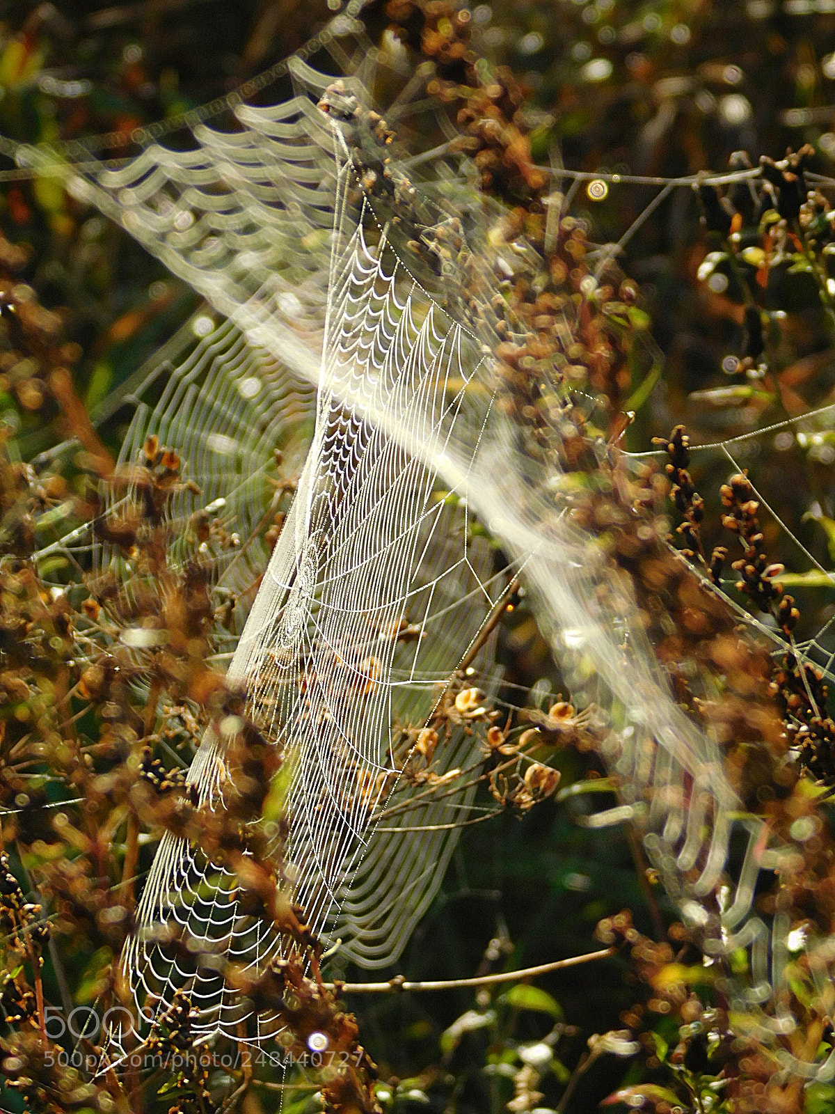 Nikon Coolpix L840 sample photo. Networks photography