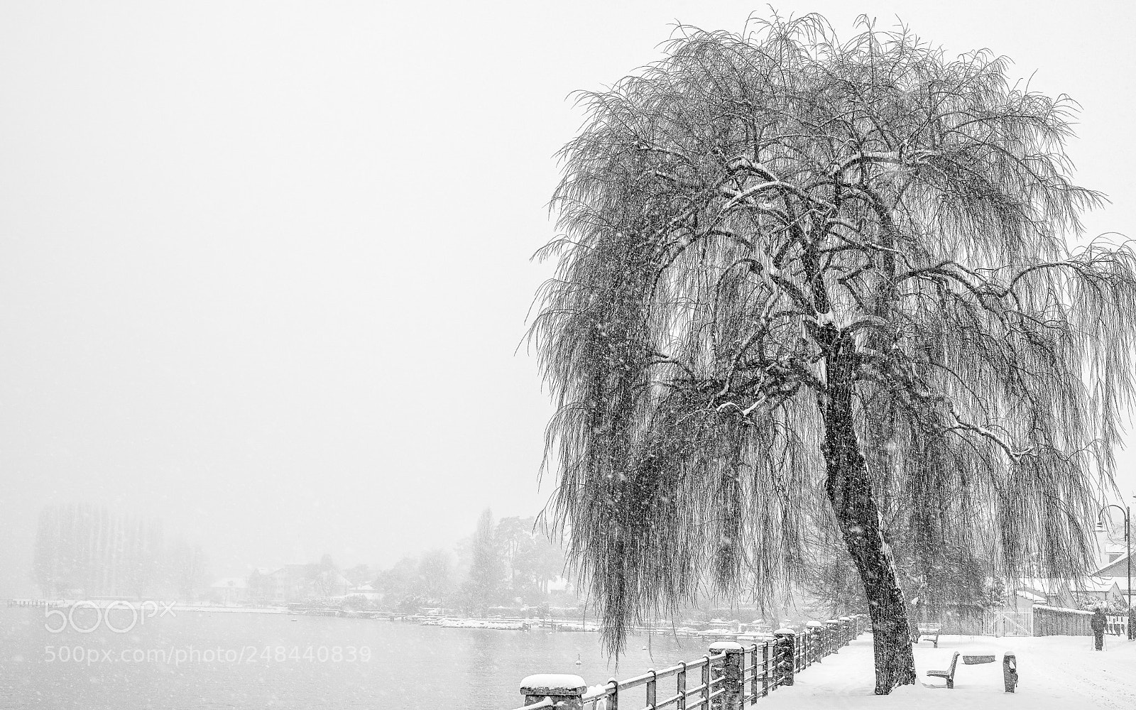 Fujifilm X-T20 sample photo. Snowy day photography