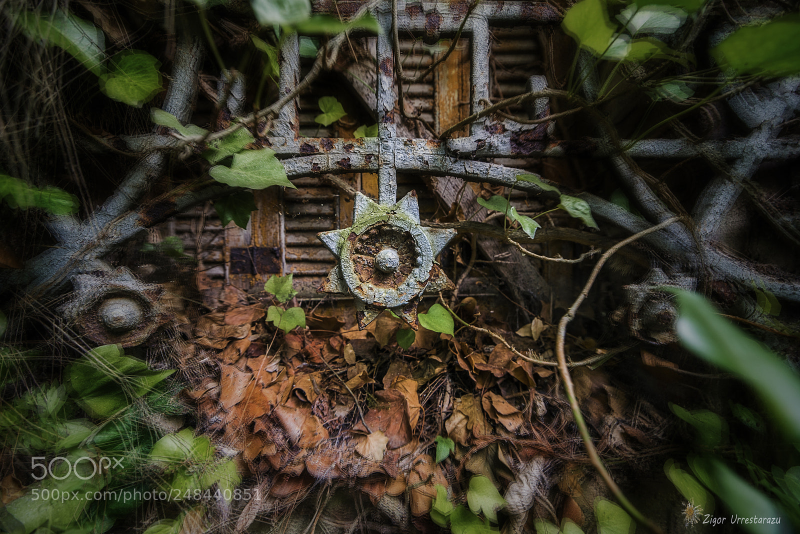 Nikon D800 sample photo. Symbology photography