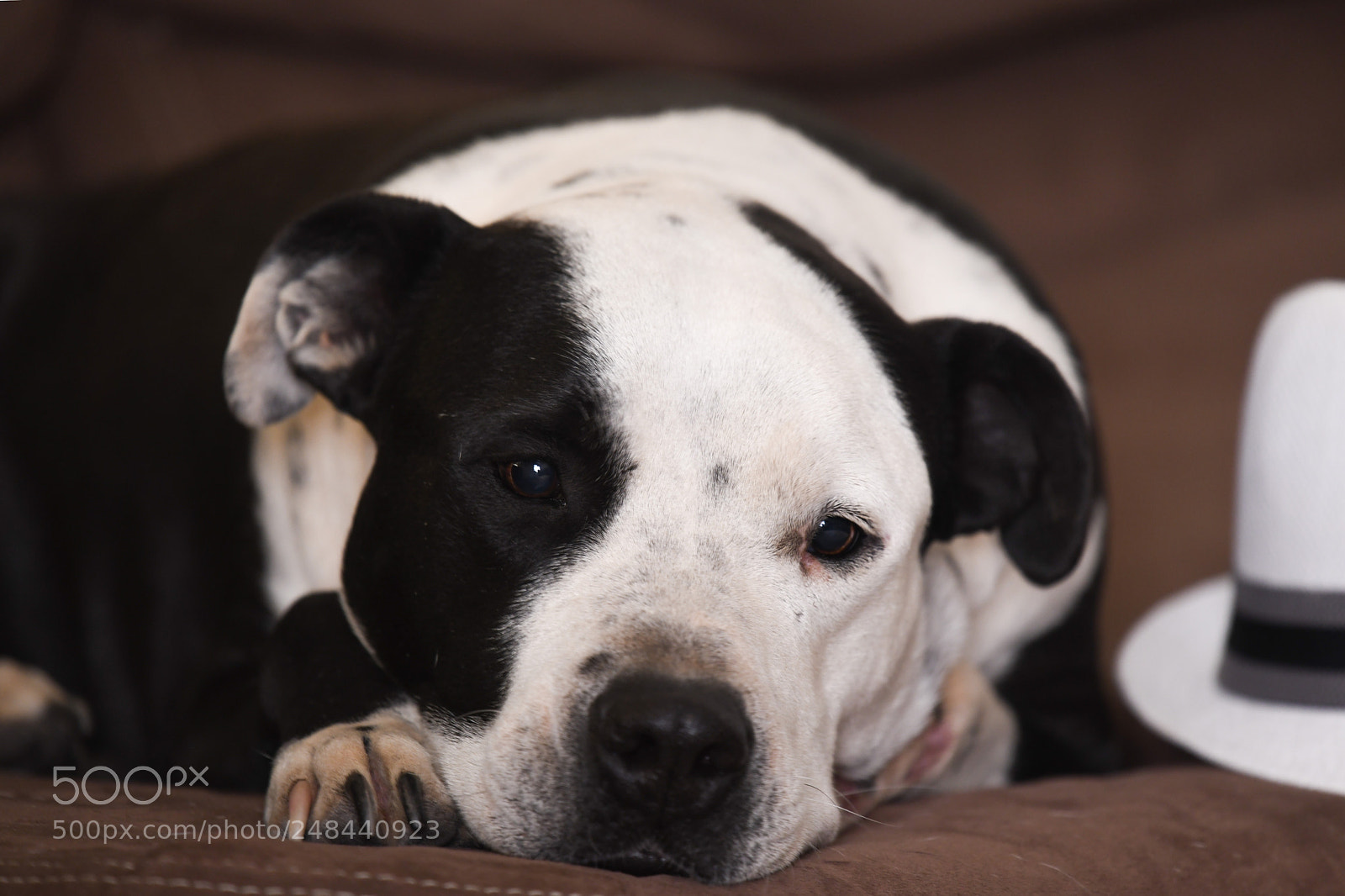 Nikon D850 sample photo. My buddy has it photography