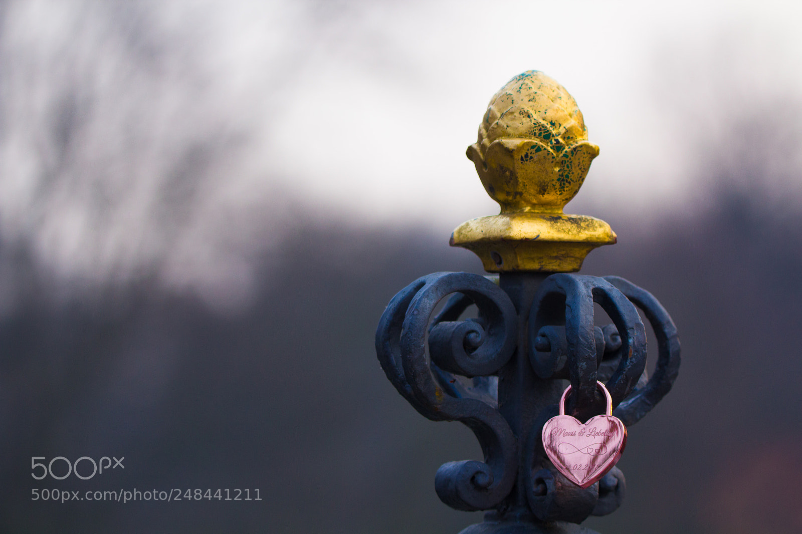 Canon EOS 600D (Rebel EOS T3i / EOS Kiss X5) sample photo. In the morning photography