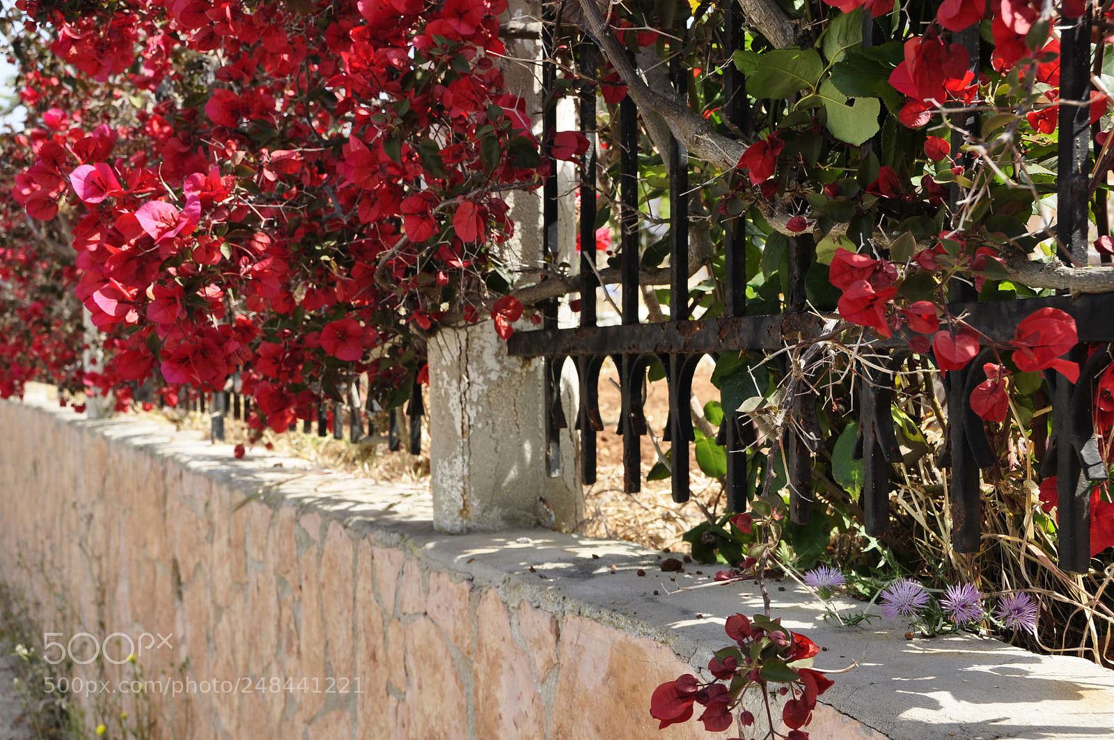 Nikon D90 sample photo. Greece. photography