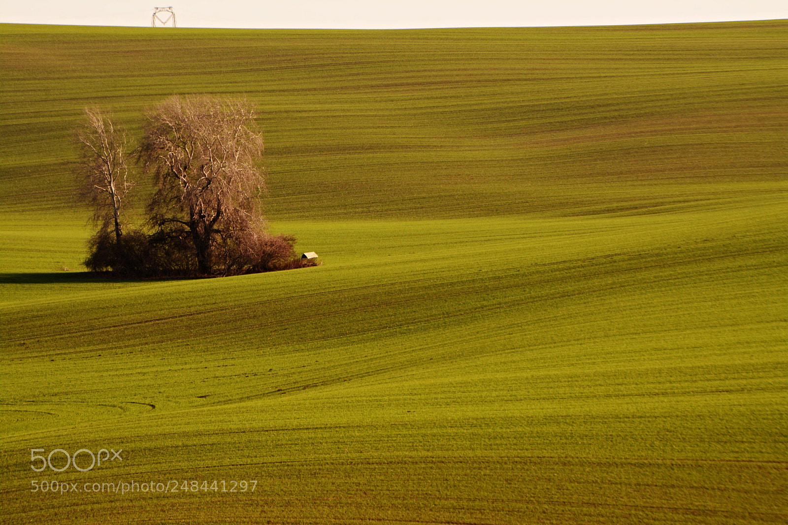 Nikon D7100 sample photo. In the fields photography
