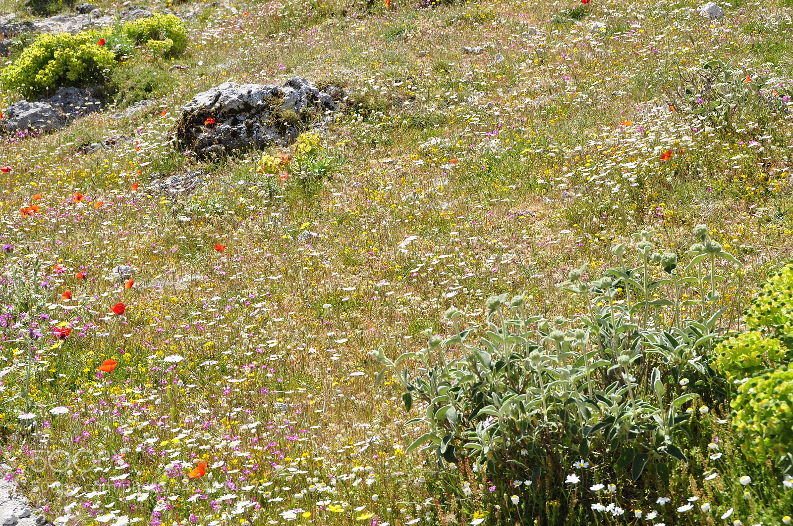 Nikon D90 sample photo. Greece. photography